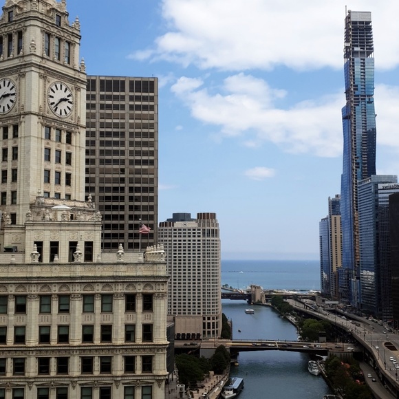 Meet your Posher, Reecha - Picture 1 of 1